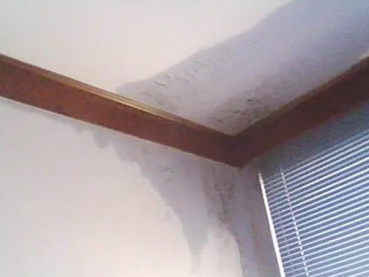 如何處理從廁所管道漏水到樓下？