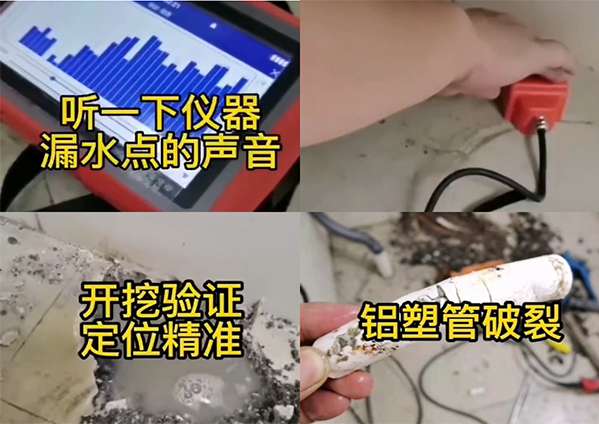 漏水檢測儀